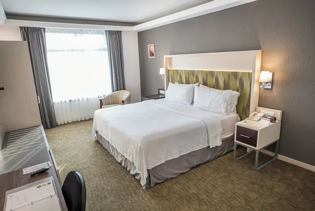 غرفة قياسية بسرير كينج بحوض استحمام، Holiday Inn Queretaro Zona Diamante 5/9
