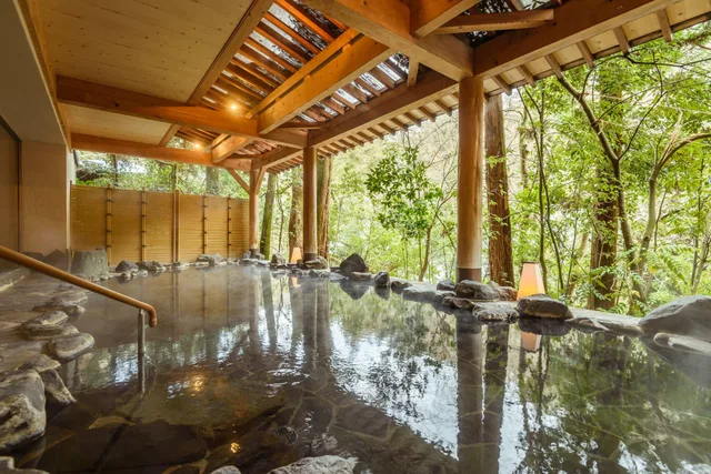 Japanese, No View, No Bathroom, Tatami، Yamanaka Onsen Shirasagiyu Tawaraya 1/2