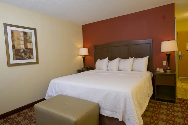 غرفة بسرير كينج لذوي الإعاقة، Hampton Inn And Suites Wiggins 2/3