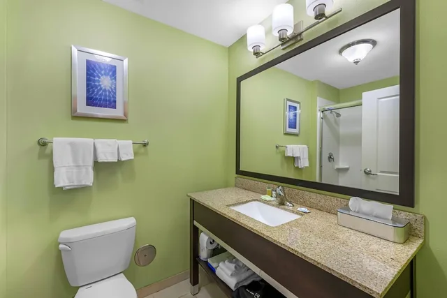 غرفة قياسية بسرير كينج مع أريكة، Sleep Inn & Suites Altoona North 4/5