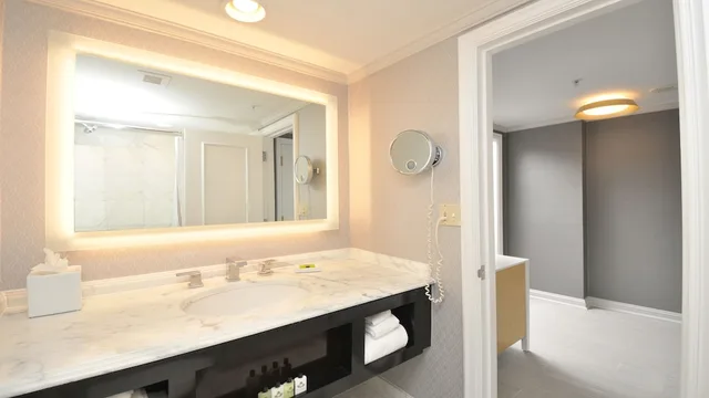 Premium, King Bed, Plaza View, Balcony, Accessible, InterContinental Kansas City at the Plaza 4/4