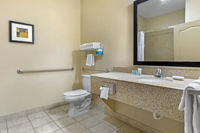 غرفة قياسية بسرير كينج لذوي الإعاقة، Best Western Franklin Town Center Hotel & Suites 6/6