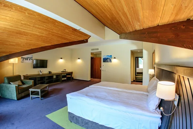 Suite, Single Bed, Hot Springs Medical & Spa Hotel 9/10