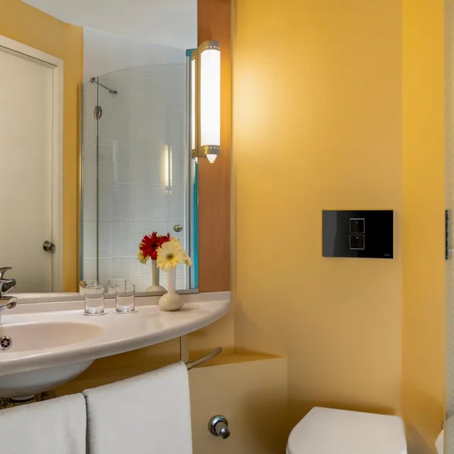 غرفة قياسية بسرير كينج، Ibis Bursa 6/6