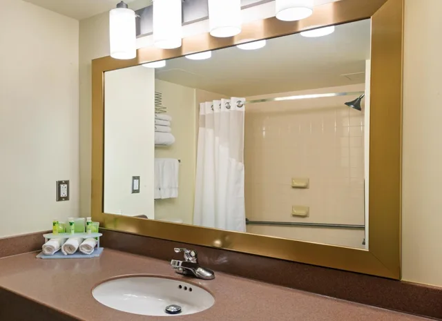 غرفة بسرير كوين مع أريكة، Deer Lake Horizon Hotel, BW Signature Collection 1/1