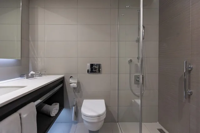 غرفة قياسية بسرير كينج مع دخول صالة النادي، Crowne Plaza Belgrade 10/10