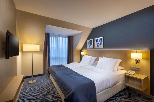 جناح بسرير مزدوج، Maritim Hotel Wurzburg 1/1