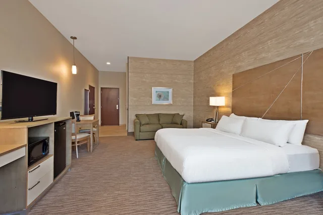 جناح بسرير كينج بغرفة نوم واحدة، Holiday Inn Express & Suites Harrisburg S - New Cumberland 1/3
