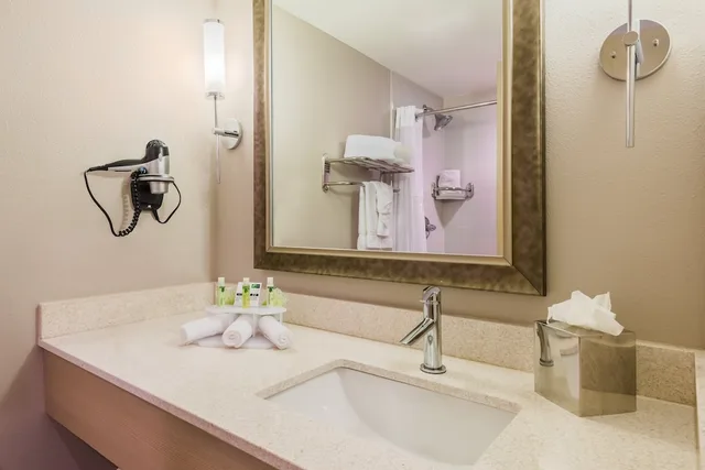 Suite, King Bed, Sofa, Holiday Inn Express Fairhope - Point Clear 4/4