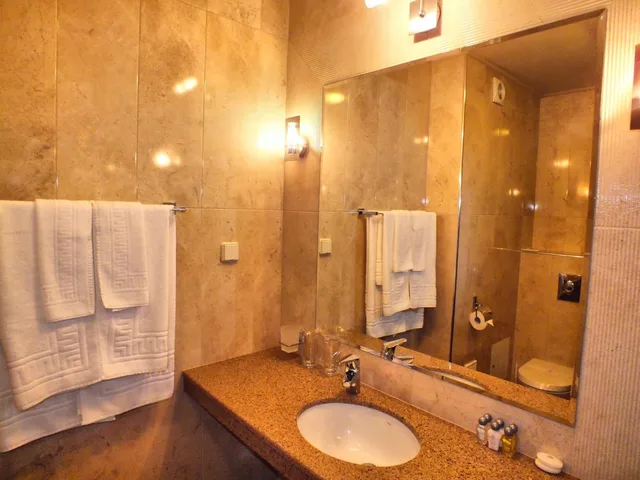 غرفة قياسية بسرير مزدوج، Spa Hotel Dragalevtsi 5/6