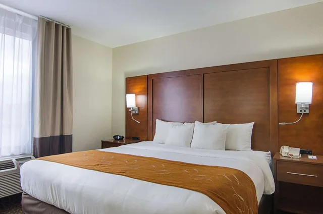 جناح بسرير كينج، Quality Suites Springdale West I-49 2/8