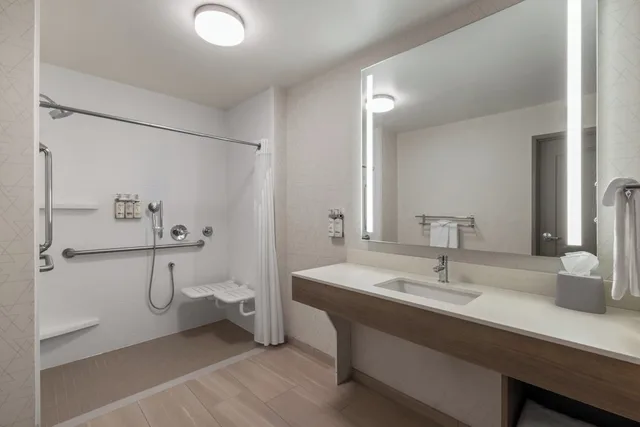 غرفة قياسية بسرير كينج لذوي الإعاقة، Holiday Inn Express Hotel And Suites Rapid City 3/4