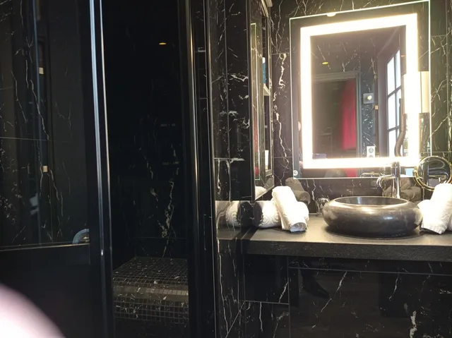 جناح، Hotel Spa Le Lion D Or 3/4