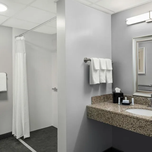 غرفة كبيرة بسرير كينج مع أريكة لذوي الإعاقة، Courtyard By Marriott La Crosse 5/5