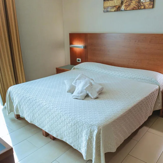 غرفة بزنس بسرير مزدوج، Hotel Amico 2/4