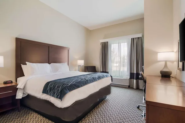 غرفة بسرير كينج، Comfort Inn & Suites Rock Hill Northeast 1/3
