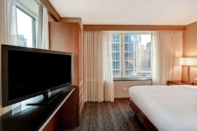 جناح أساسي بسرير كينج مع أريكة، Embassy Suites by Hilton Chicago Downtown Magnificent Mile 5/9