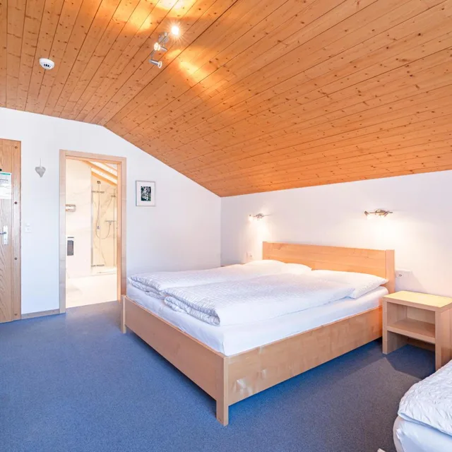 غرفة ثلاثية، Hotel Parnass 4/9