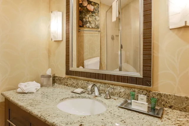 غرفة ديلوكس بسرير مزدوج، Hilton Branson Convention Center 3/5
