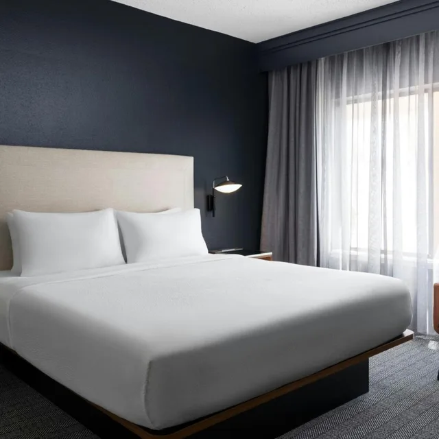 غرفة قياسية بسرير كينج مع أريكة لذوي الإعاقة، Courtyard by Marriott Birmingham Hoover 1/10