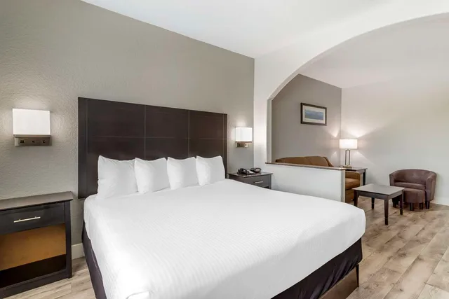 جناح بسرير كينج مع أريكة بحوض استحمام لذوي الإعاقة، Best Western Texas City I-45 1/3