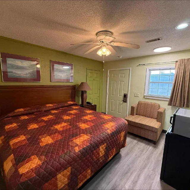 Room, King Bed, Smoking, Riviera Motel Elba Near Enterprise US 84 1/7