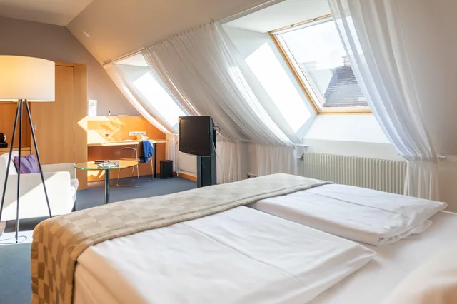 غرفة بريميوم بسرير كينج، HOLIDAY INN VIENNA CITY 1/5