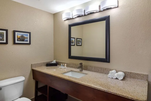جناح تنفيذي بسرير كينج، Comfort Suites Woodstock - Atlanta North 5/6
