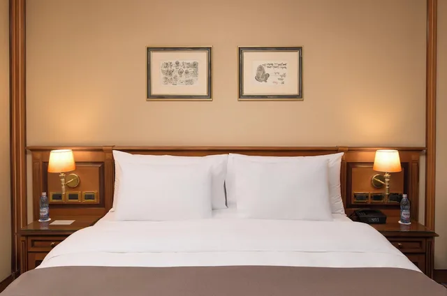 غرفة بريميوم بسرير كوين، Grand Hotel Bucharest 1/6