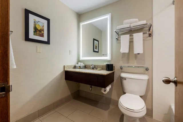 غرفة بسرير كينج بإطلالة على المسبح مع أريكة، Best Western Plus Dubuque Hotel and Conference Center 2/2