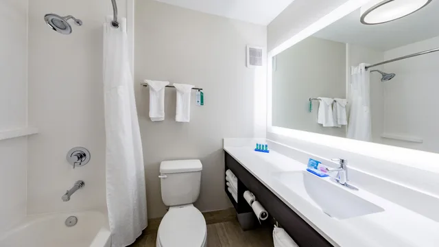 غرفة قياسية بسرير كينج، Holiday Inn Express And Suites Hood River 7/10