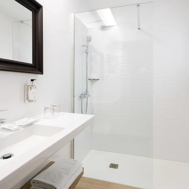 غرفة مفردة، Sercotel Hotel Parque 3/6