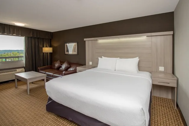 Coast, Premium, King Bed، Village Park Inn Calgary 2/3