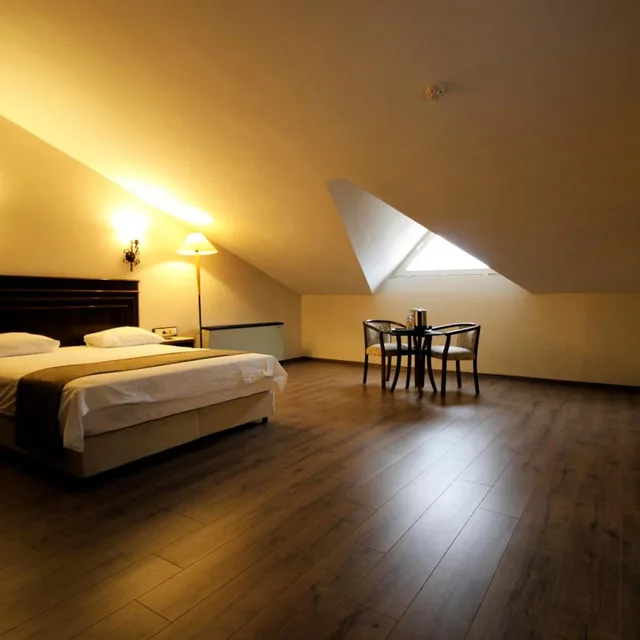 غرفة اقتصادية بسرير مزدوج أو سريرين منفصلين، Montania Town Hotel Mudanya 3/5