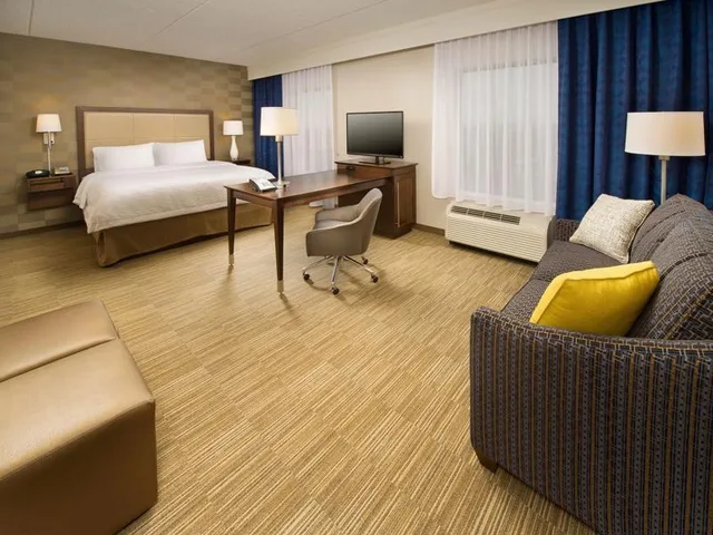 Studio, King Bed, Sofa, Accessible, Hampton Inn Suites Baltimore Woodlawn 1/1