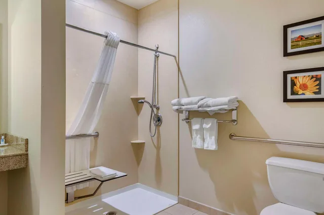 جناح بسرير كينج مع أريكة بحوض استحمام لذوي الإعاقة، Comfort Suites Helena Airport 6/6