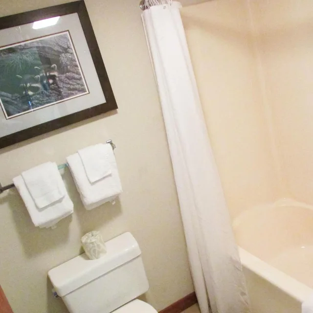 Superior, 2 Queen Beds, Parkway View, Shared Balcony، Arbors at Island Landing Hotel Suites 4/6