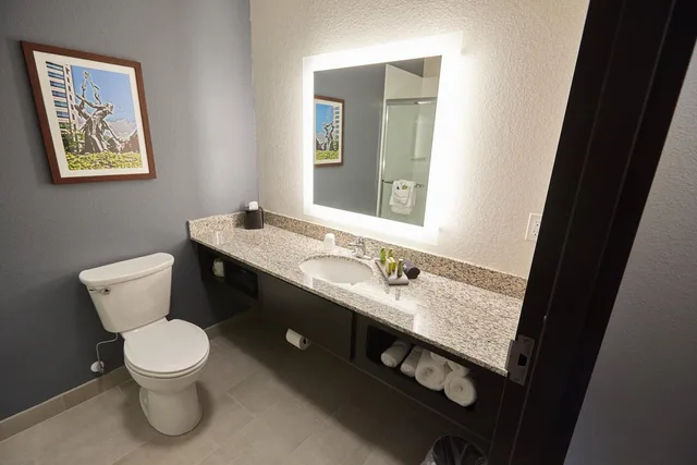 استوديو بسرير كينج مع أريكة، Gundersen Hotel & Suites 5/6