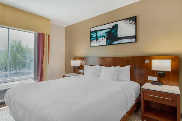 Room, King Bed, with View, Comfort Suites Knoxville East 1/3