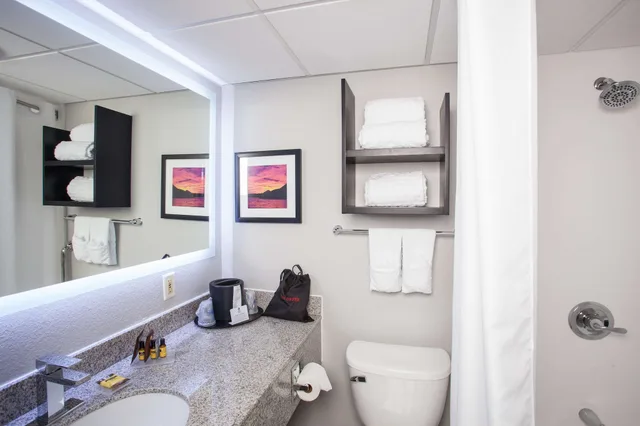 غرفة قياسية بسرير كينج، Best Western Plus Sun Canyon 7/7