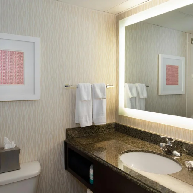 Guest Room, King Bed, High Floor, West Tower، Marriott St. Louis Airport 6/7