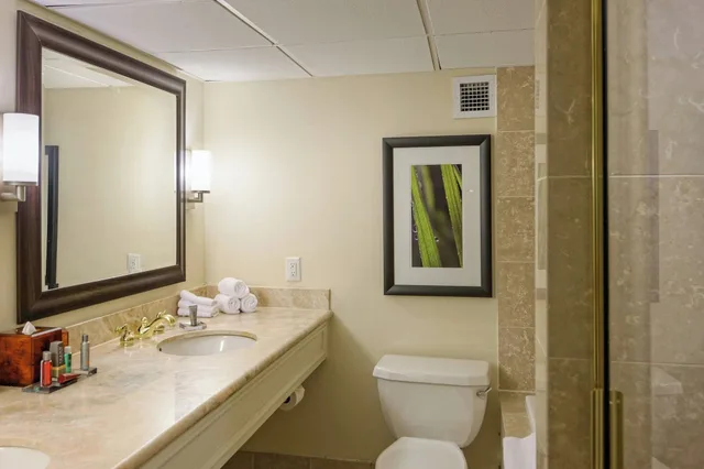 Deluxe, Quadruple, 2 Double Beds, Houston Marriott Uptown by the Galleria 6/10