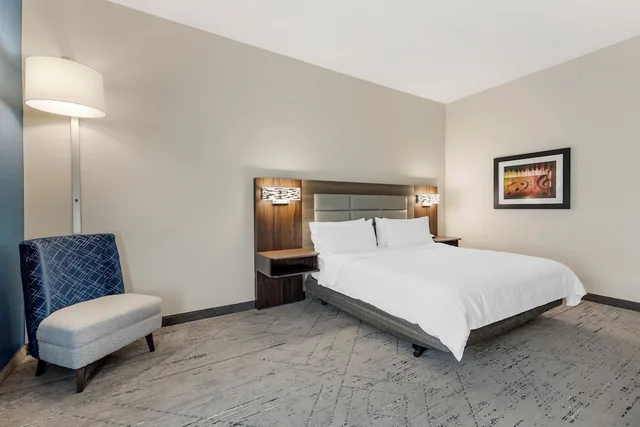 غرفة قياسية بسرير كينج لذوي الإعاقة، Holiday Inn Express & Suites NASHVILLE SOUTHEAST - ANTIOCH 1/9