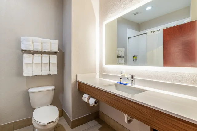 Standard, King Bed, Accessible, Holiday Inn Express Hotel And Suites Statesville 8/8