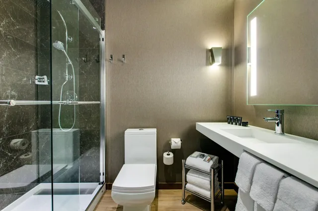 غرفة سوبيريور بسرير مزدوج، Ac Hotel Chicago Downtown 3/3