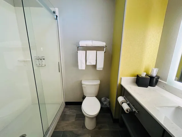 غرفة بسرير كينج، Holiday Inn Express Suites Shippensburg 3/4