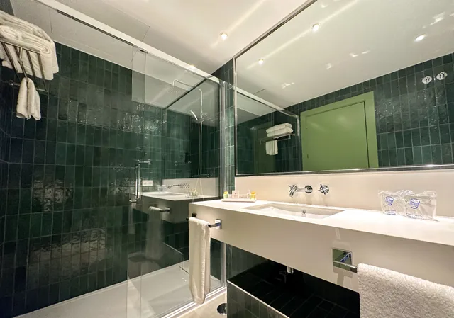 غرفة سوبيريور بإطلالة على المدينة بشرفة مفردة بسرير مزدوج، Ribera de Triana Hotel 8/10
