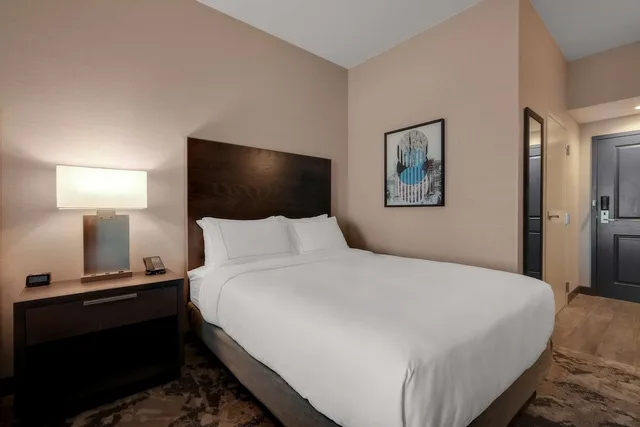جناح بسرير كينج لذوي الإعاقة، DoubleTree by Hilton Denver International Airport (ex. Holiday Inn Hotel And Suites) 3/6