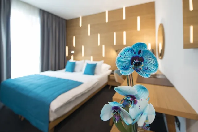 Deluxe, Double Bed, Hotel Sana 6/7