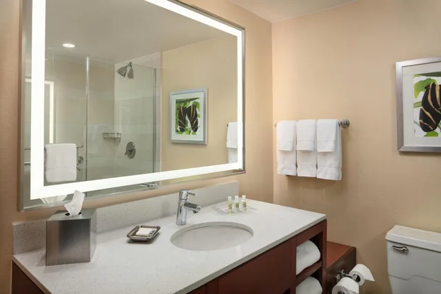 غرفة ديلوكس بسرير كينج، Holiday Inn Austin Town Lake Hotel 2/4